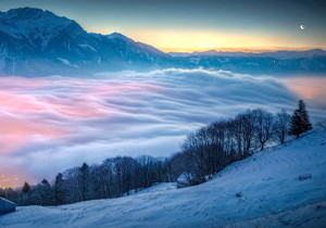 植物大战僵尸-变态杂交版