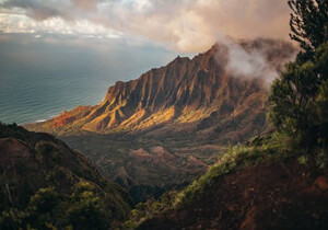 植物大战僵尸-变态杂交版